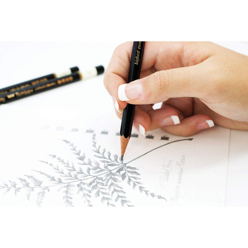 Tombow 51514 MONO Drawing Pencil, 4H, Graphite 12-Pack - Image 2